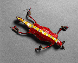 10311706
&copy; Science Museum
Lizard amulet, Plains Indians, USA and Canada.