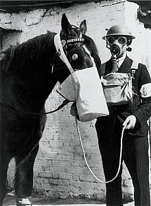 10307711
&copy; NMeM Daily Herald Archive
Gas protection for horses, West Ham, London, 1939.
