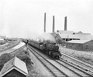 10443429
&copy; National Railway Museum
Freight train, West Thurrock, Essex, 29 June 1959.