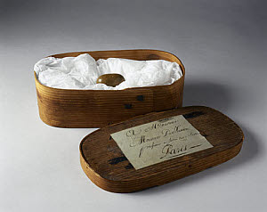 10321076
&copy; Science Museum
Lithofellic acid bezoar, from a goat.