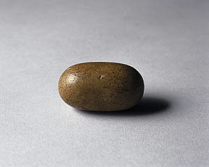10321078
&copy; Science Museum
Lithofellic acid bezoar, from a goat.