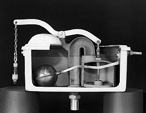 10182397
Speedwell Syphon Flushing Cistern. Section.