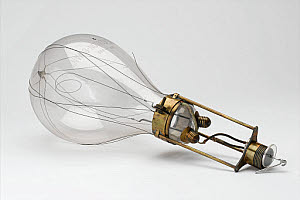 10462943
&copy; Science Museum
Edison Swan light bulb.