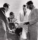 10309056
The Superpenicillin team at work, 25 August 1960. T