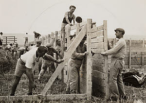 10462017
&copy; NMeM Daily Herald Archive
American Jews in Palestine, 1938.