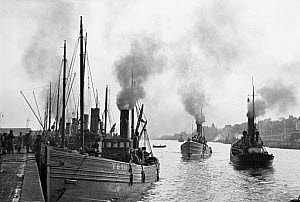10309719
&copy; NMeM - Kodak Collection
Small fishing vessels lining the docks of an English port, c 1930s.
