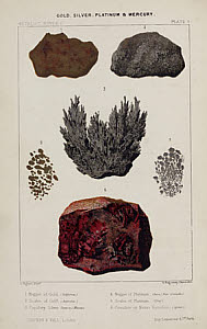 10439422
&copy; Science Museum Library
Gold, silver, platinum and mercury, 1869.