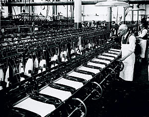 10315924
&copy; NMeM Daily Herald Archive
Man working a knitting machine, 18 April 1931.