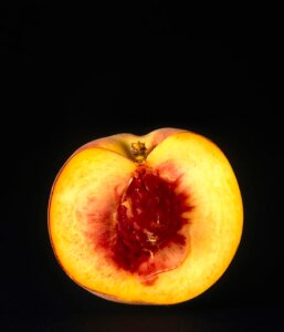 10305025
&copy; Science Museum
A peach, cut in half to show the stone, 1990s.