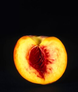 10305027
&copy; Science Museum
A peach, cut in half, with the stone removed, 1990s.