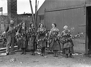 10317827
&copy; NMeM Daily Herald Archive
Kipper girls displaying smoked kippers, 24 September 1931.