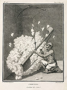 10419132
&copy; Science Museum Library
Cotton carder, India, 1774-1781.