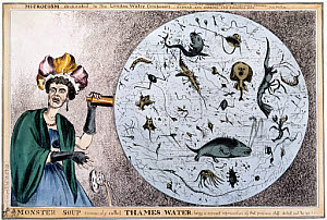 10315337
&copy; Science Museum Pictorial
'Monster Soup', 1828.