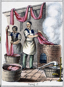 10320652
&copy; Science Museum Pictorial
'Dying', c 1845.