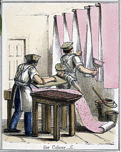 10320654
&copy; Science Museum Pictorial
'For Colour - C', c 1845.