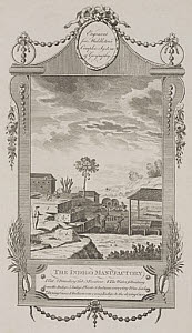 10418358
&copy; Science Museum Pictorial
�The Indigo Manufactory�, 1777.