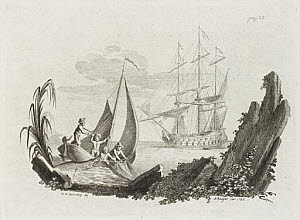 10425259
&copy; Science Museum Library
Shark attacking fishermen, 1785.