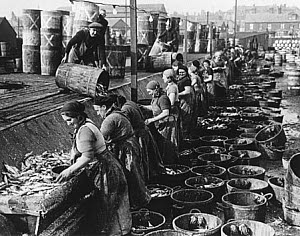 10250266
&copy; NMeM Daily Herald Archive
Gutting and cleansing herring at the quayside.