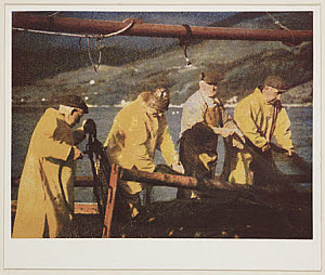 10453374
'Four in Line', c 1960.