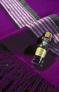 10307477
&copy; Science Museum
Perkin�s original mauve dye and shawl, 1856.