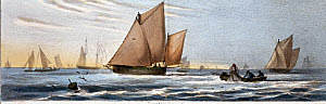 10320691
&copy; Science Museum Pictorial
'Mackerel Fishing', c 1845.