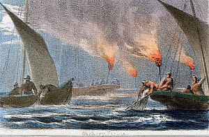 10320692
&copy; Science Museum Pictorial
'Anchovy Fishing', c 1845.