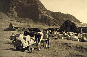 10461297
&copy; TBC / Royal Photographic Society
Tristan da Cunha, 1939.