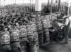 10250258
&copy; NMeM Daily Herald Archive
Moving sacks of fish meal at the fish market, Hull, East Riding, 6 March 1939.