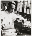 10432112
&copy; NMeM Daily Herald Archive
Testing penicillin solutions in a laboratory, 1943.