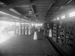 10442525
&copy; National Railway Museum
Milk churns being unloaded from a train at South Lambeth, London, 1922.