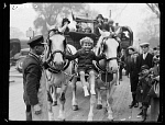 10431956
&copy; NMeM Daily Herald Archive
Prize-winning horses, 1933.