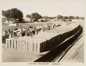 10446178
&copy; National Railway Museum
Cotton traffic, Amravati, India, c 1930.