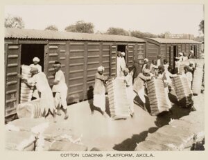 10446179
&copy; National Railway Museum
Cotton traffic, Akola Station, Maharashtra, India, c 1930.
