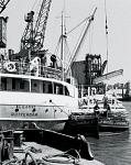 10316387
&copy; NRM British Transport Films
Transhipping timber from ship to barge, Sharpness Docks, Essex, June 1950.