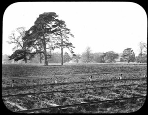 10423892
&copy; Science Museum
Launch track for Maxim�s flying machine, Baldwin�s Park, Kent, 1893-1894.